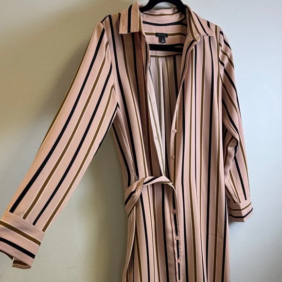 Ann Taylor Pink and Black Striped Long Sleeve Dress - Picture 4 of 6